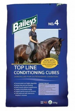 Baileys No 4 Topline Cubes
